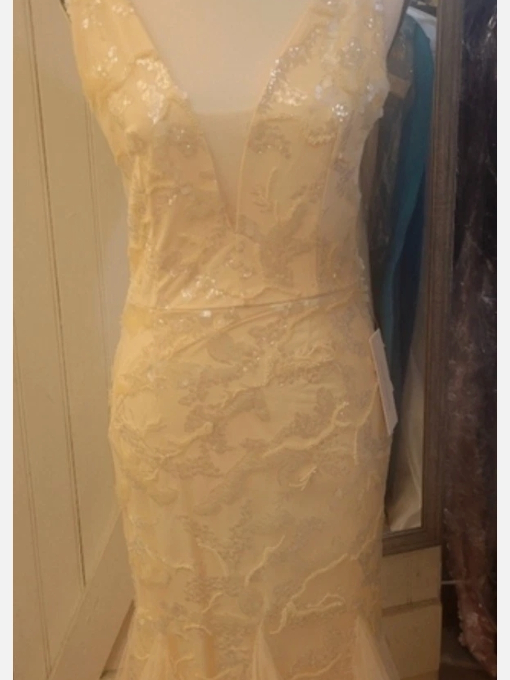 Elegant Ivory Lace V-Neck Evening Dress